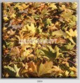 /album/photo-gallery-canvas-uri/decoratiuni-de-perete-canvas-lc-0854-jpg/
